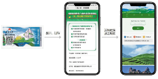 福鼎白茶“两标合一”！解读来了