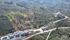 学茶技、吃茶宴、看茶舞！农文旅融合激活春日经济新消费