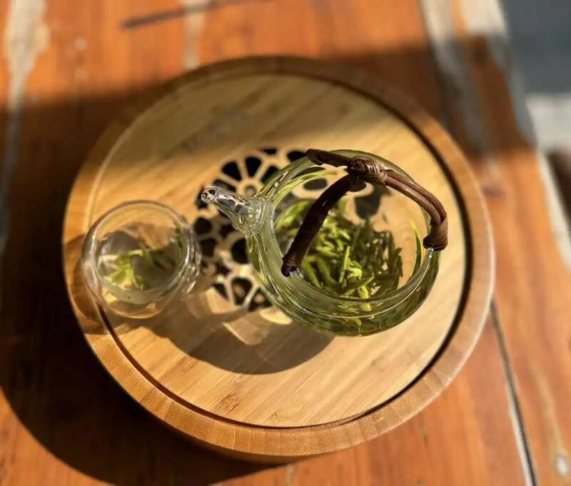 春茶越早采摘品质越好？你为追春茶交了哪些“智商税”？