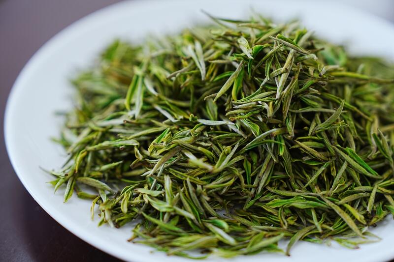 品一口春天的味道！正安白茶春茶正式开采