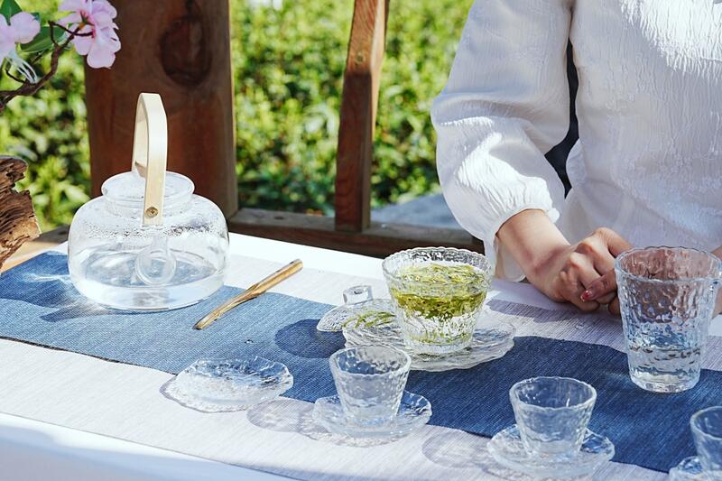 品一口春天的味道！正安白茶春茶正式开采