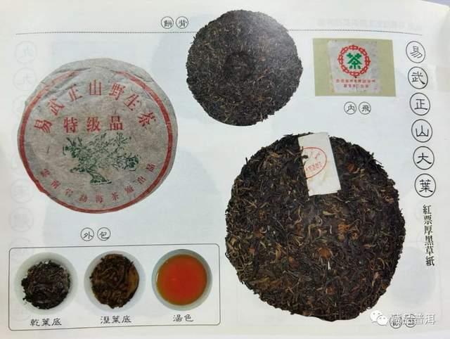 99绿大树三个版本区别详解：蓝黑票紫红票红票特征对比