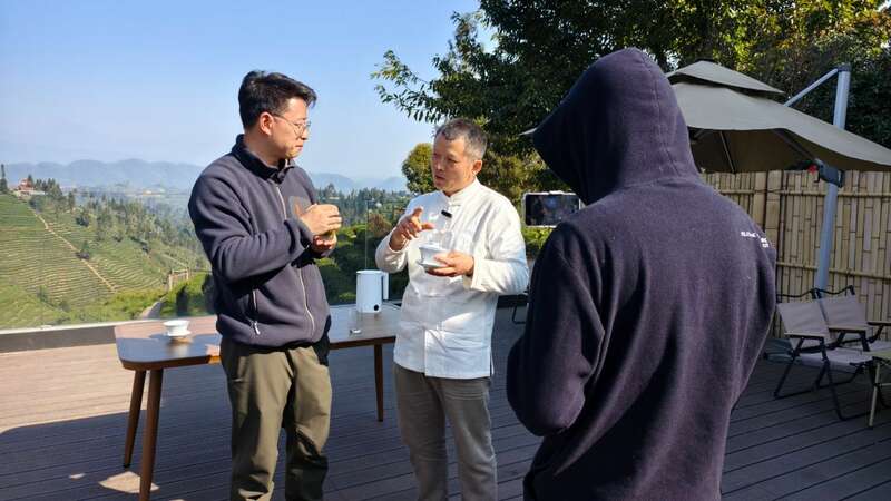 云端品茗探茶源 安逸茶山迎客来