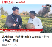 云端品茗探茶源 安逸茶山迎客来