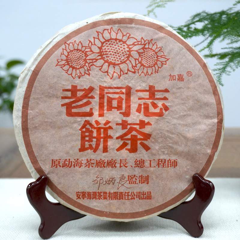 普洱茶冲泡技巧全攻略：8个关键问答解决泡茶难题