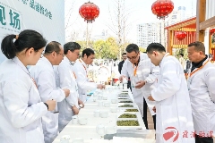 霞浦县：一缕茶香激活一方产业