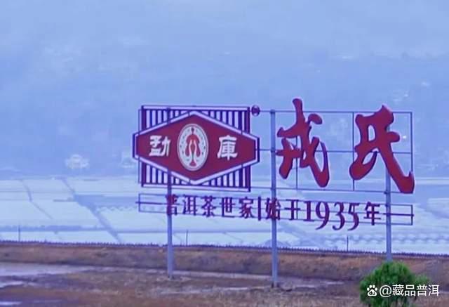 勐库茶魂普洱茶深度解析，临沧霸主经典之作特点全解