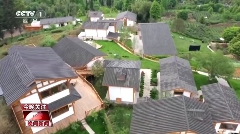 CCTV-1晚间新闻聚焦：名山区茶文旅融合发展新风貌