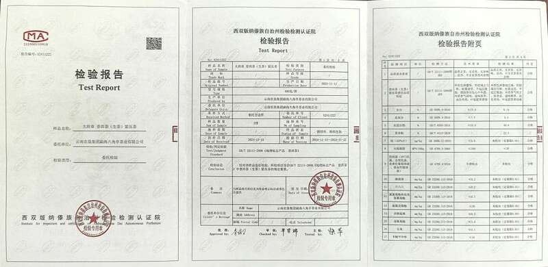 十四年光阴淬炼，大班章古乔木生态饼盛大启幕！