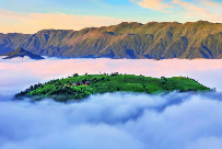 秦巴区域茶产业大脑 助力茶产业数字化转型