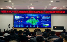 秦巴区域茶产业大脑 助力茶产业数字化转型