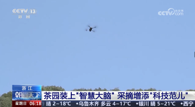 春茶开采，AI智能设备如何在茶园管理上“各显神通”？