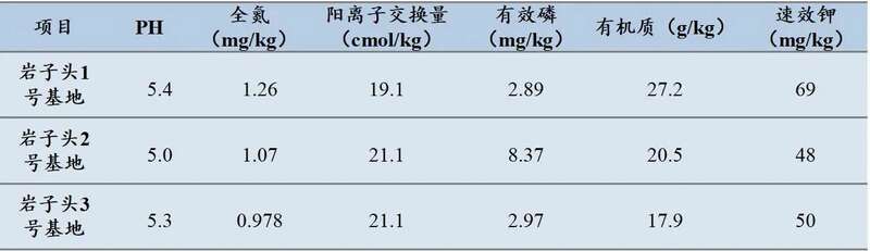 下关岩子头古树沱茶 汲取山水精华，成就绝美品质