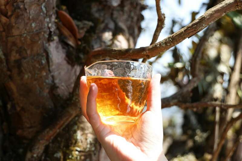 下关岩子头古树沱茶 汲取山水精华，成就绝美品质