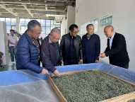 雅安市政协副主席、市工商联主席杨力赴荥经县调研茶叶产业发展情况