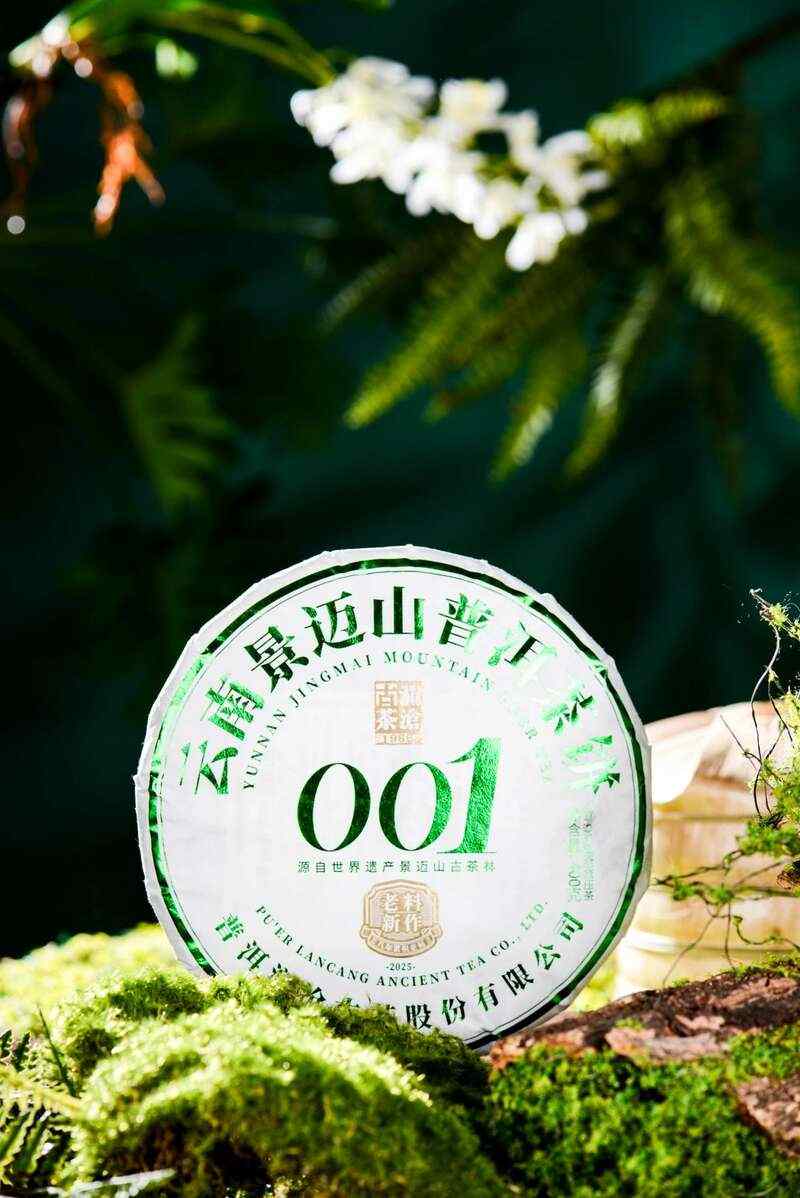 澜沧古茶景迈山的春天，该是001味的