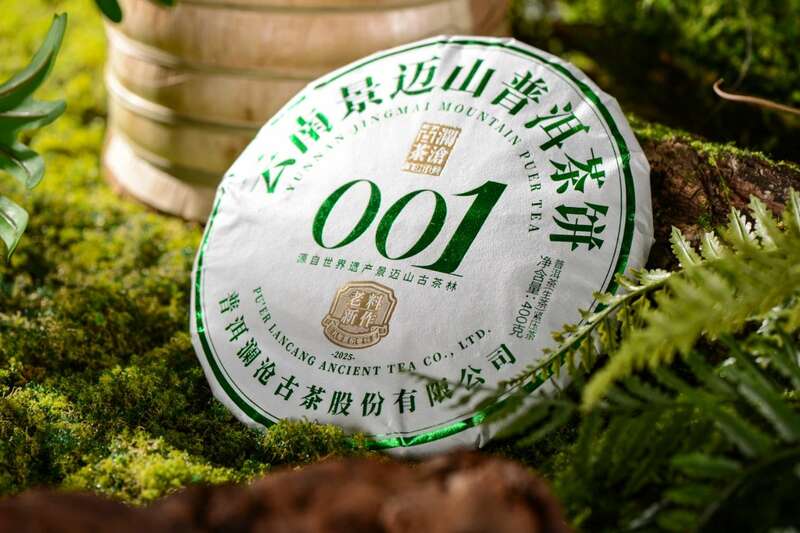 澜沧古茶景迈山的春天，该是001味的