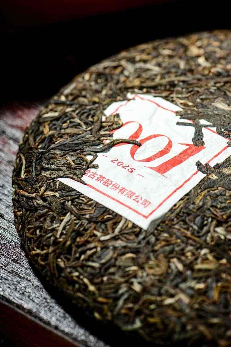 澜沧古茶景迈山的春天，该是001味的