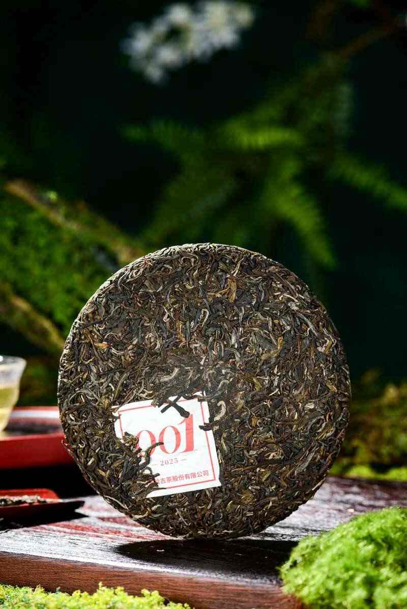 澜沧古茶景迈山的春天，该是001味的