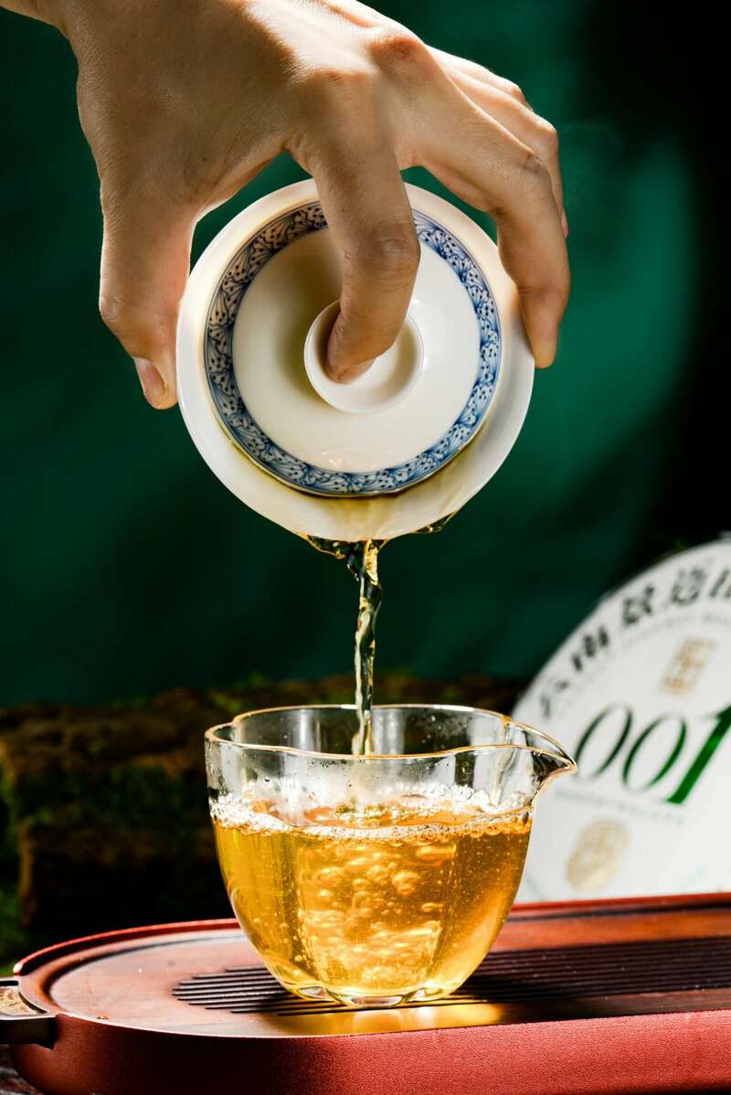 澜沧古茶景迈山的春天，该是001味的