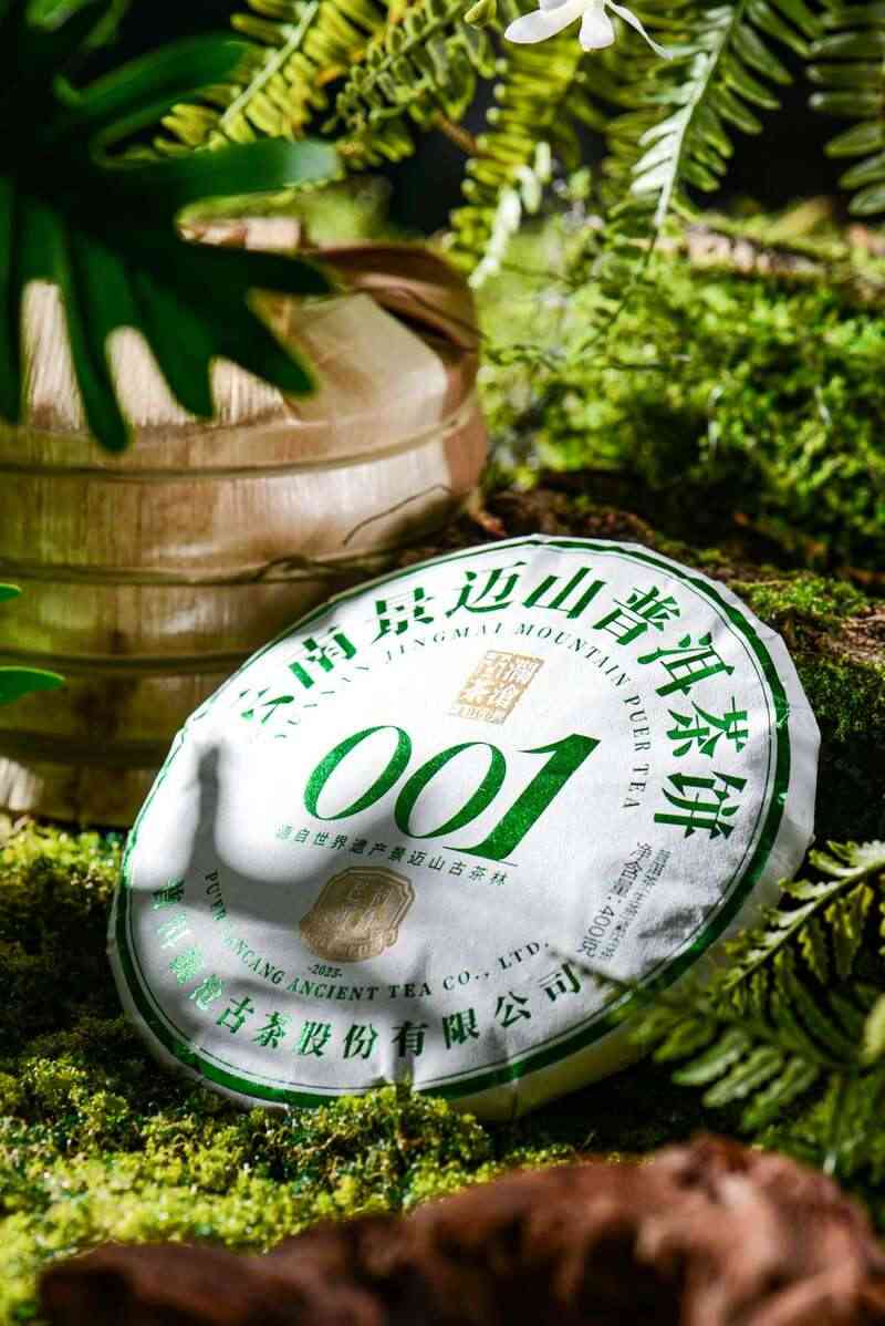 澜沧古茶景迈山的春天，该是001味的