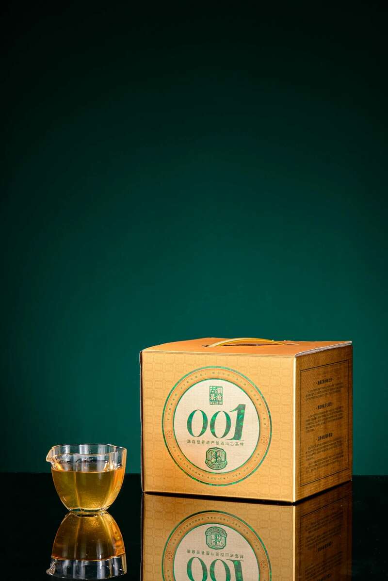 澜沧古茶景迈山的春天，该是001味的