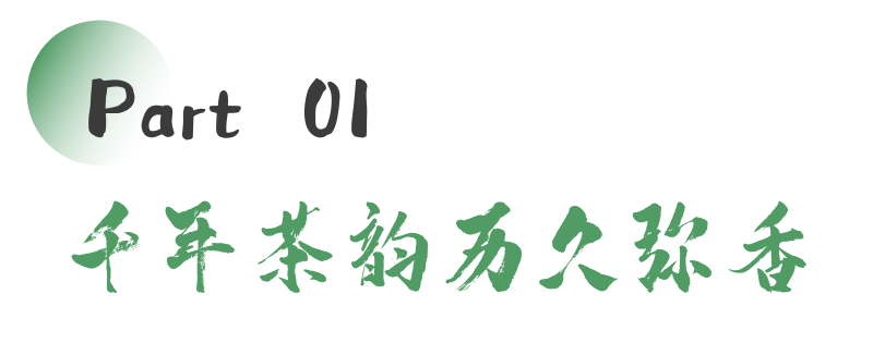 来不来雅安喝茶？