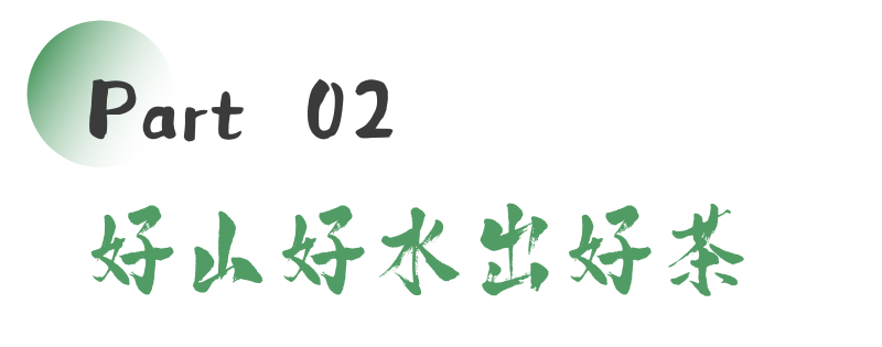 来不来雅安喝茶？