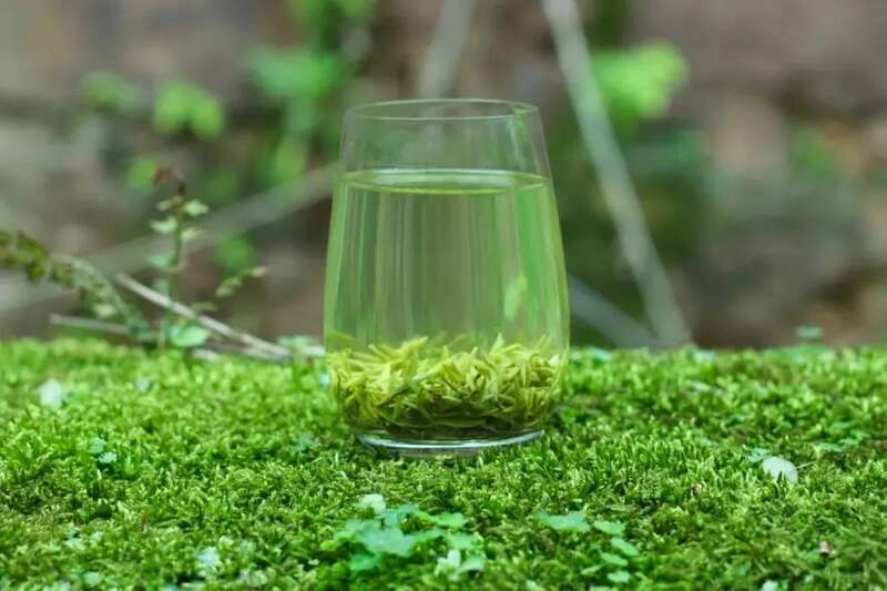 来不来雅安喝茶？