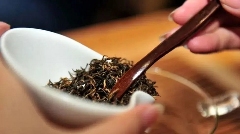 来不来雅安喝茶？