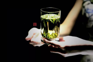 来不来雅安喝茶？