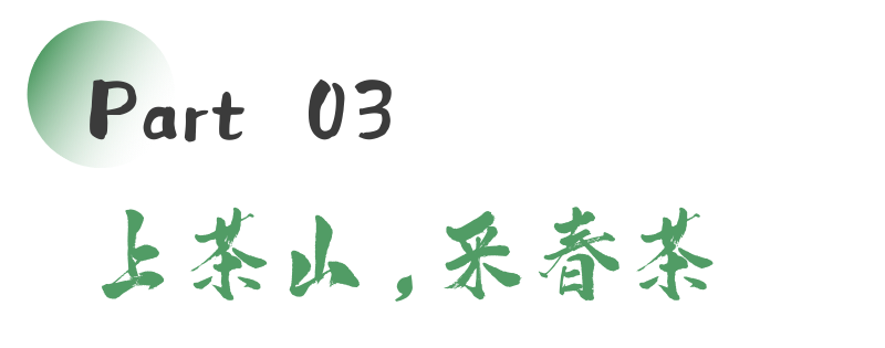 来不来雅安喝茶？