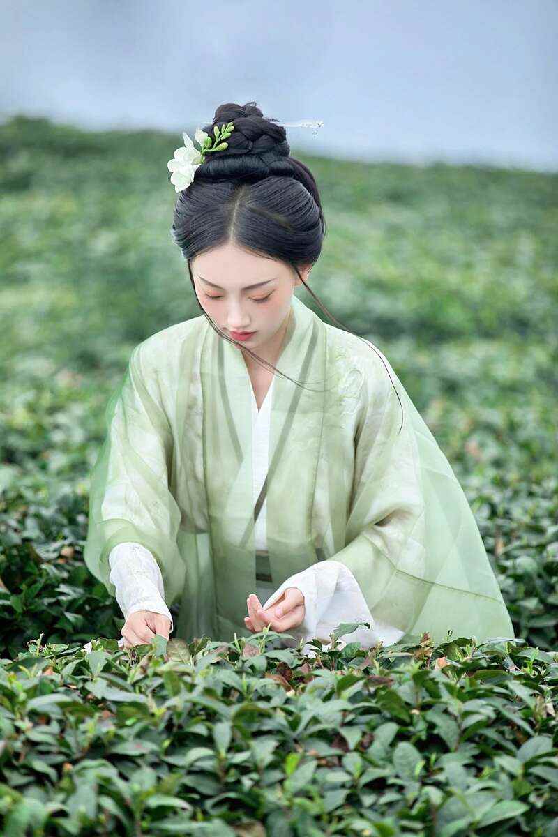 来不来雅安喝茶？