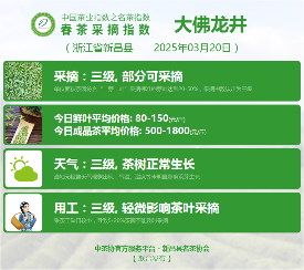 2025春茶季：西湖龙井、湄潭翠芽开采