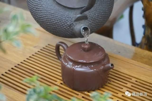 普洱老茶冲泡全攻略：选器投茶醒茶出汤技巧详解