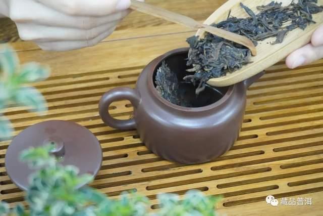 普洱老茶冲泡全攻略：选器投茶醒茶出汤技巧详解