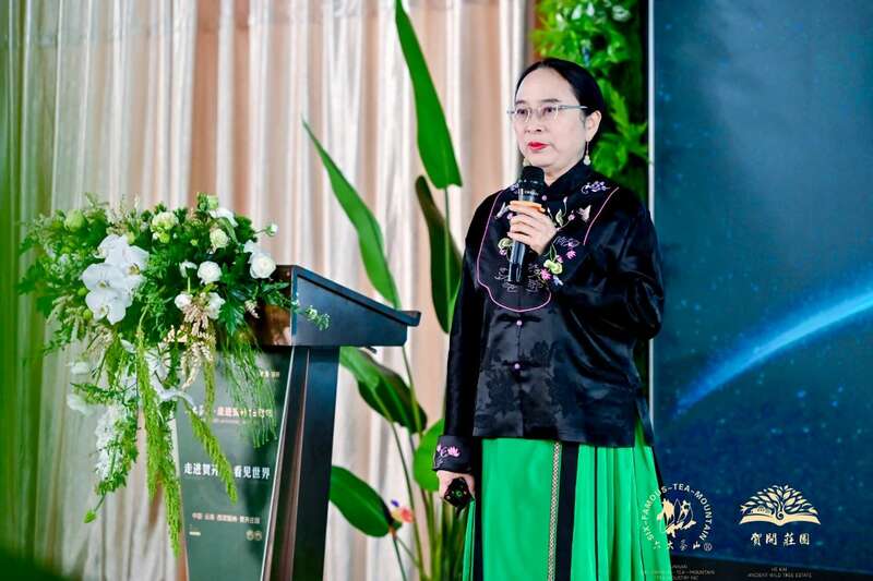 六大茶山 世界·贺开启动 普洱茶走向世界