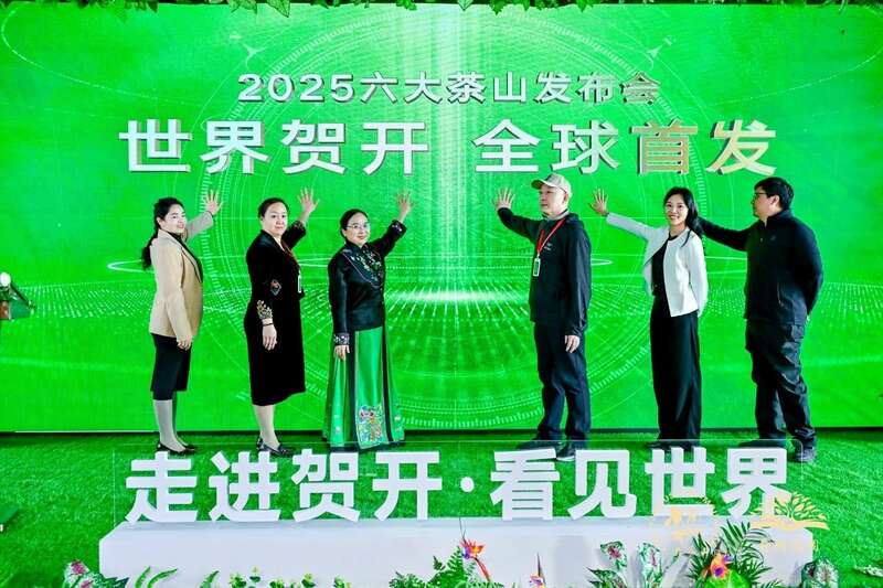 六大茶山 世界·贺开启动 普洱茶走向世界