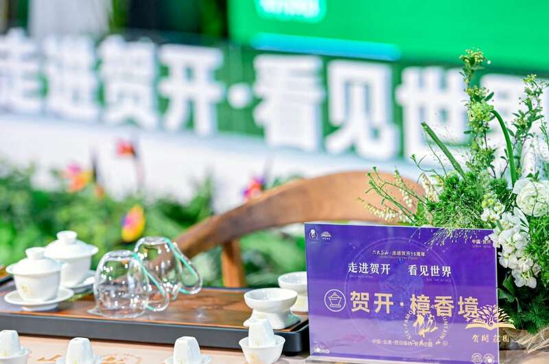 六大茶山 世界·贺开启动 普洱茶走向世界
