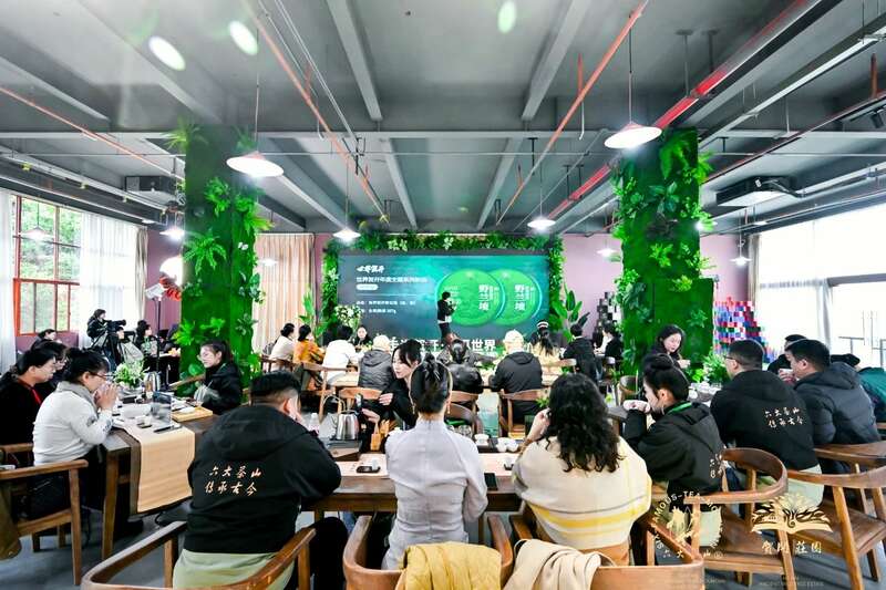 六大茶山 世界·贺开启动 普洱茶走向世界