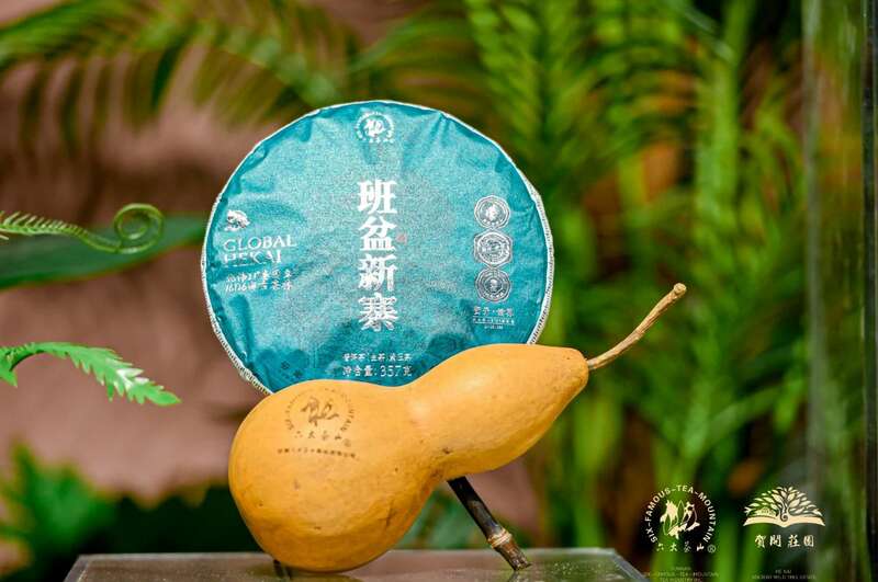 六大茶山 世界·贺开启动 普洱茶走向世界