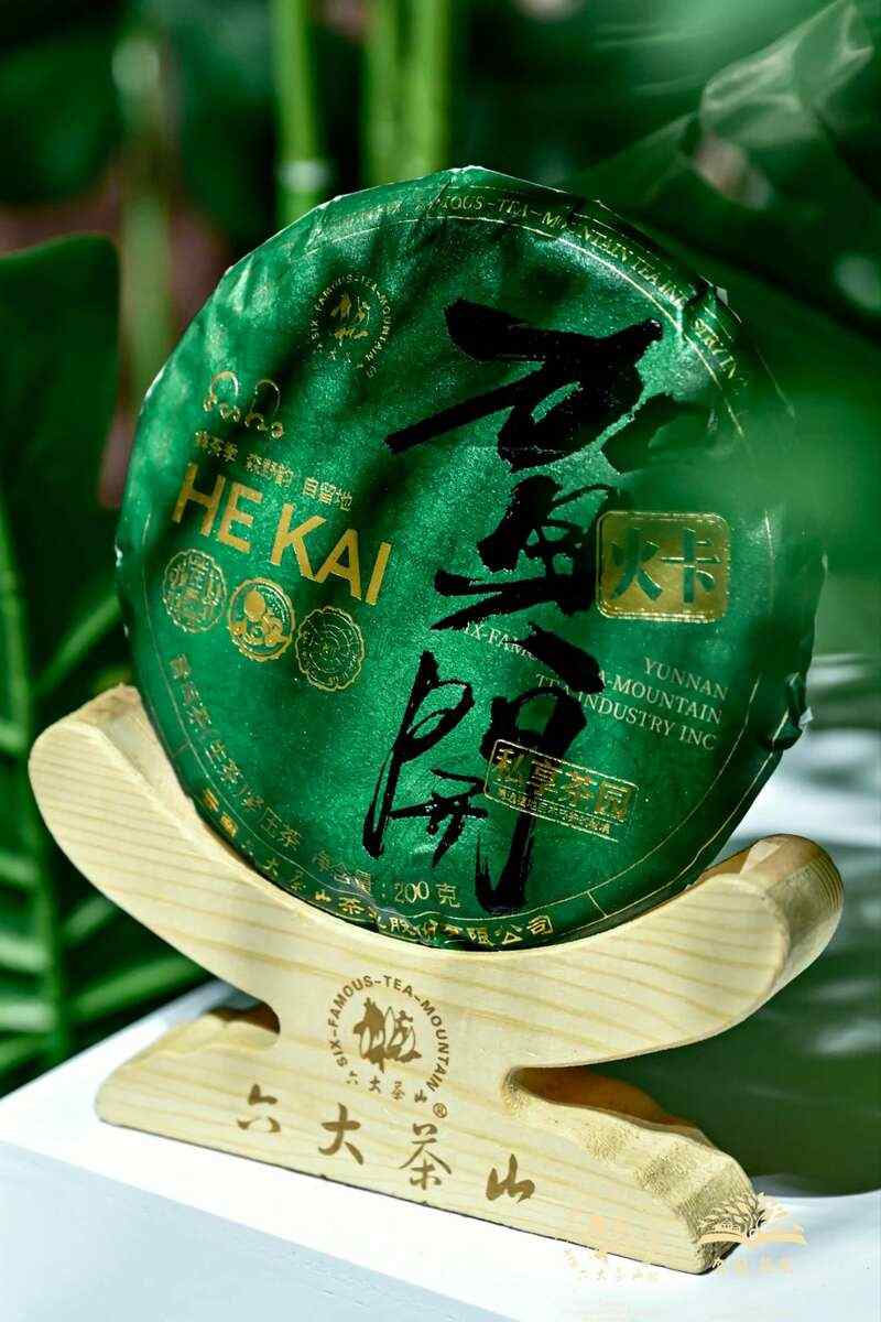 六大茶山 世界·贺开启动 普洱茶走向世界