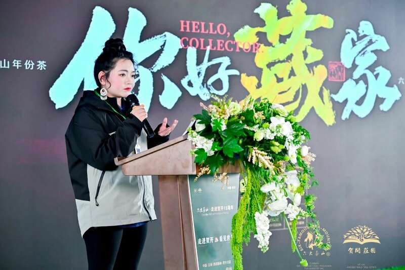 六大茶山 世界·贺开启动 普洱茶走向世界