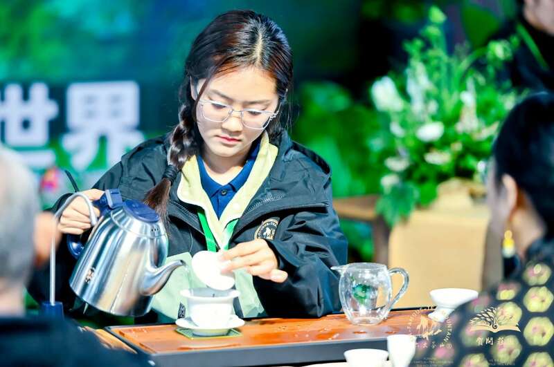 六大茶山 世界·贺开启动 普洱茶走向世界