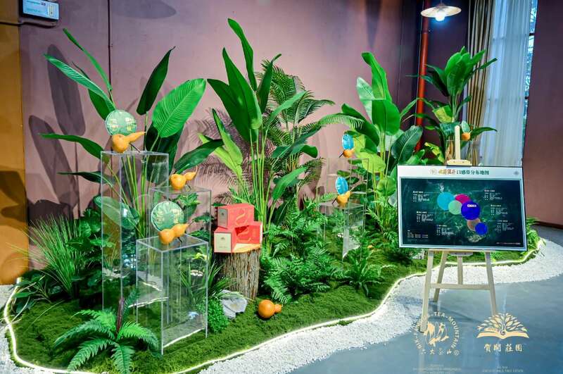 六大茶山 世界·贺开启动 普洱茶走向世界