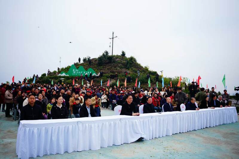 声穿云海，唤醒茶山：2023第三届“巴山青”茶文化节暨第九届“大竹白茶”喊山开茶节启幕