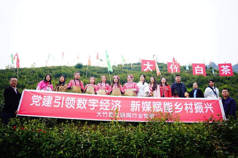 声穿云海，唤醒茶山：2023第三届“巴山青”茶文化节暨第九届“大竹白茶”喊山开茶节启幕
