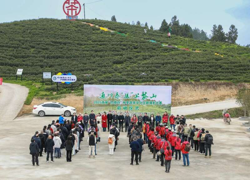 市女摄协：镜头下的茶香之旅