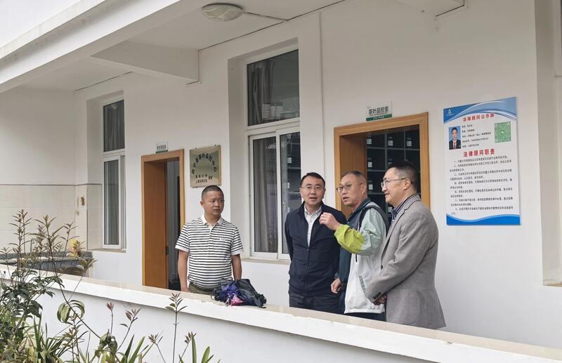 全力打造“云南红茶第一县” 擦亮“昌宁红茶”金字招牌