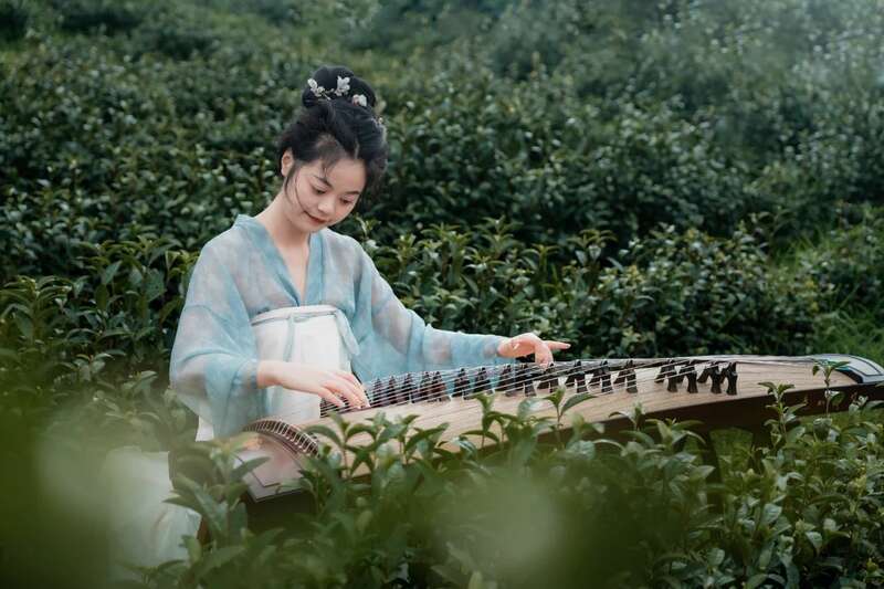 市女摄协：镜头下的茶香之旅